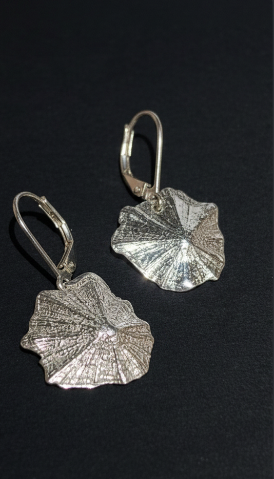 Silver limpet earrings