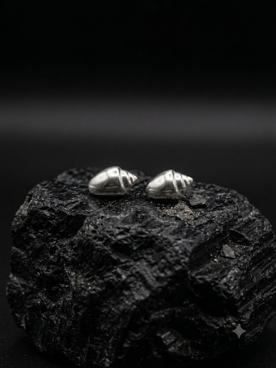 Periwinkle shell studs