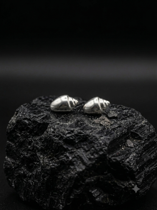 Periwinkle shell studs